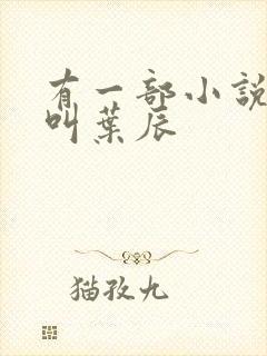 有一部小说主角叫叶辰