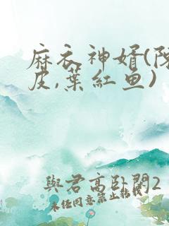麻衣神婿(陈黄皮,叶红鱼)