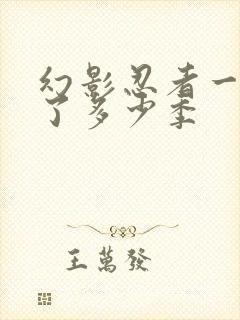 幻影忍者一共出了多少季