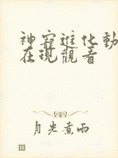 神宠进化动态漫在现观看