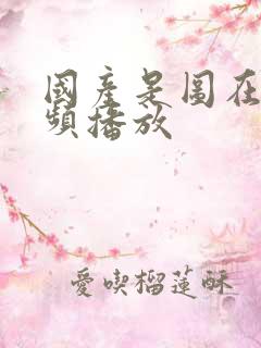 国产是图在线视频播放