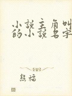 小说主角叫叶枫的小说名字