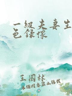 一级夫妻生活黄色录像