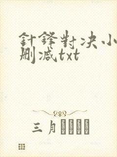 针锋对决小说未删减txt