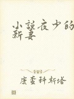 小说夜少的二婚新妻