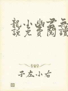 龙小幽君无邪小说免费阅读