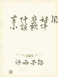 有什么好用的看小说软件