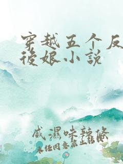 穿越五个反派的后娘小说