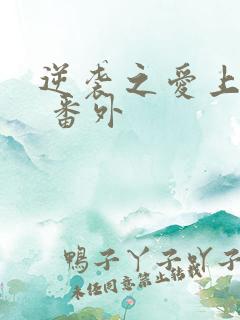 逆袭之爱上情敌 番外