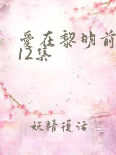 爱在黎明前升起12集