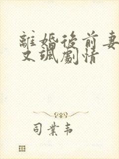 离婚后前妻她美又飒剧情