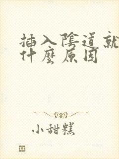 插入阴道就射是什么原因