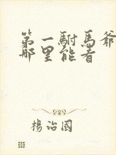 第一驸马爷全集哪里能看