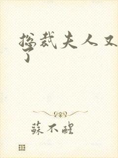 总裁夫人又征婚了