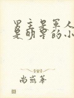 男主是军人女主是明星的小说