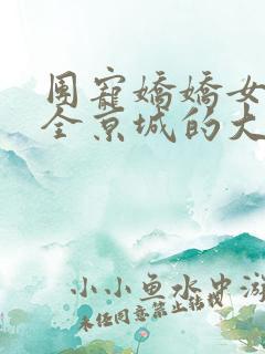 团宠娇娇女:被全京城的大佬宠翻了小说免费