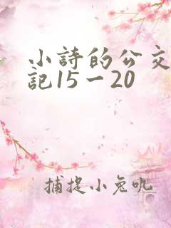 小诗的公交车日记15一20