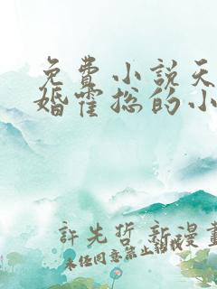 免费小说天价宠婚霍总的小娇妻