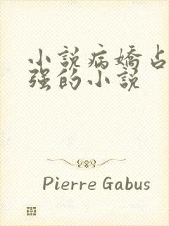 小说病娇占有欲强的小说