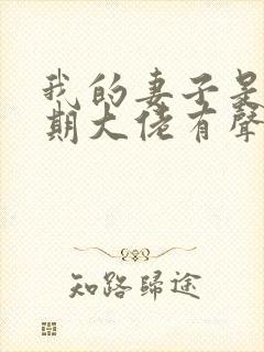 我的妻子是大乘期大佬有声小说免费收听