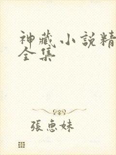 神藏小说精校版全集
