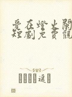 爱在灯火阑珊处短剧免费观看