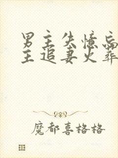 男主失忆忘了女主追妻火葬场