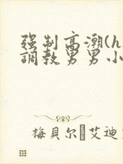 强制高潮(h)调教男男小说