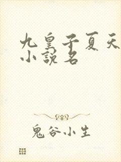 九皇子夏天穿越小说名