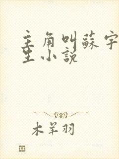 主角叫苏宇的重生小说