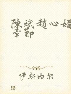 陈斌赵心媚全部章节