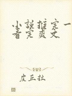 小说推完一口气看完爽文