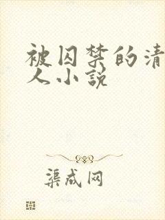 被囚禁的清冷美人小说