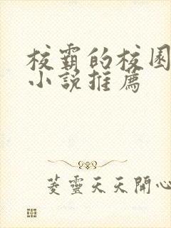 校霸的校园甜宠小说推荐