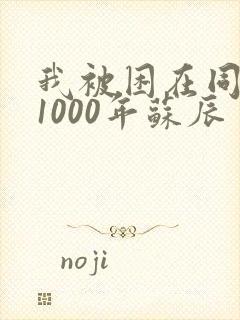 我被困在同一天1000年苏辰