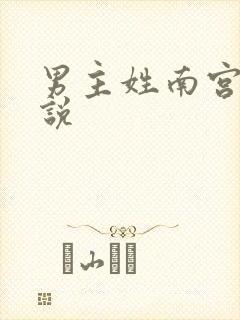 男主姓南宫的小说