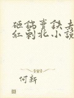 砸锅卖铁去上学红刺北小说完全版