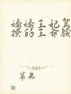 娇娇王妃驾到,撩的王爷脸红心跳洛神