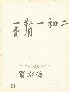 一对一初二补习费用