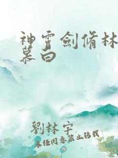 神霄剑修林枫苏慕白