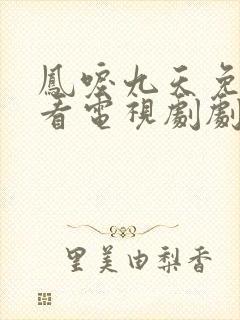 凤唳九天免费观看电视剧剧情