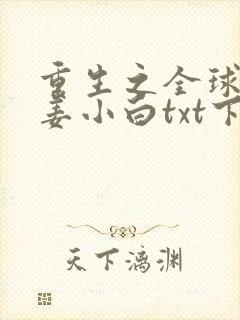 重生之全球首富姜小白txt下载