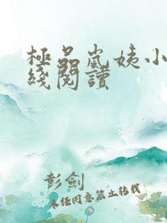 极品岚姨小说在线阅读