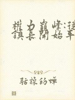 权力巅峰:从副镇长开始平步青云小说阅读