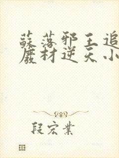 苏落邪王追妻:废材逆天小姐