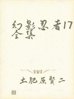 幻影忍者17季全集