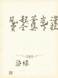 风起苍岚漫画免费全集下拉式漫画