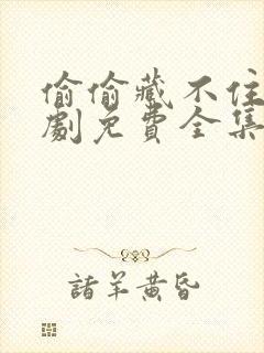 偷偷藏不住电视剧免费全集完整版