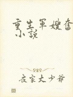 重生军嫂奋斗史 小说