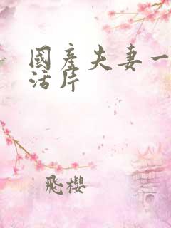 国产夫妻一级生活片